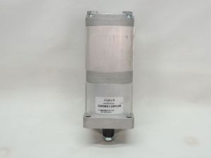 Bomba de Engrenagem Galtech 2SP080 + 2SP190 Bomba de Engrenagem Galtech 2SP080 + 2SP190