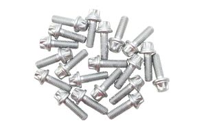 Kit 20 Parafusos M4x16 Torx Externo Flangeado Zincado